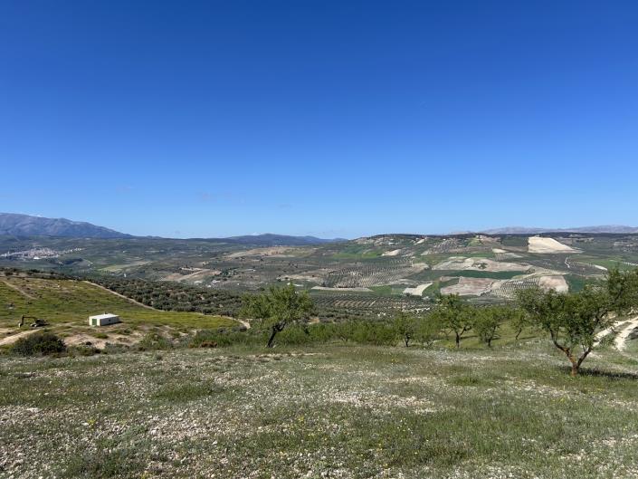 Image No.57-Ferme de 5 chambres à vendre à Santa Cruz del Comercio
