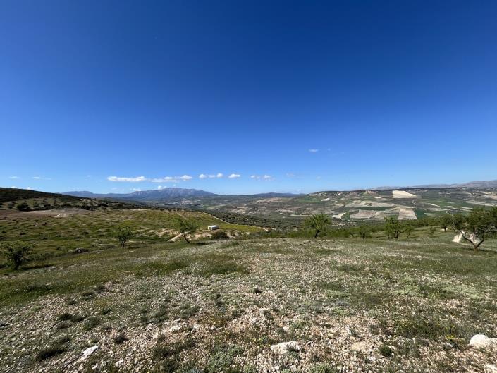 Image No.58-Ferme de 5 chambres à vendre à Santa Cruz del Comercio
