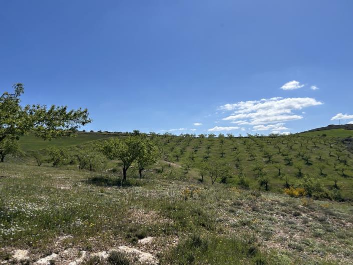 Image No.59-Ferme de 5 chambres à vendre à Santa Cruz del Comercio
