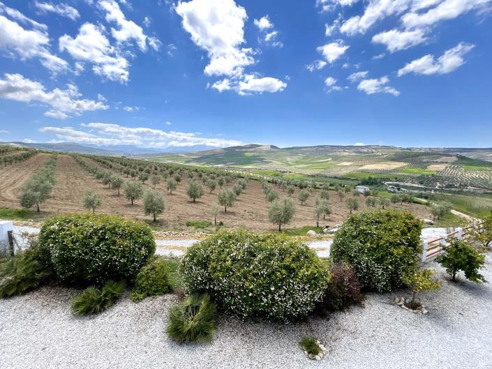 Image No.25-15 Bed Commercial for sale