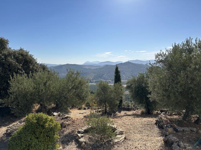 Image No.42-3 Bed Cortijo for sale