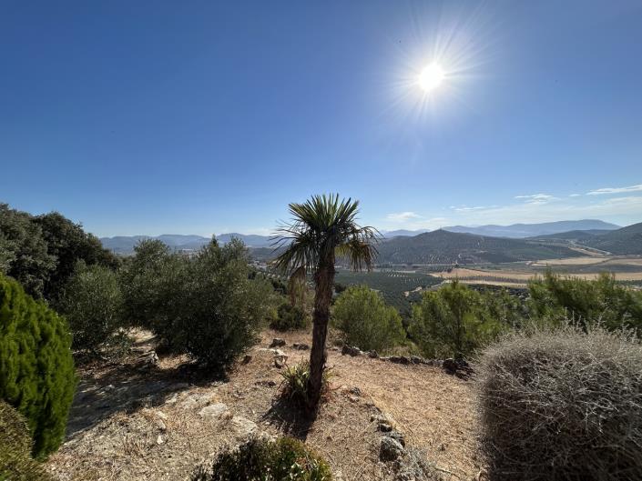 Image No.53-3 Bed Cortijo for sale