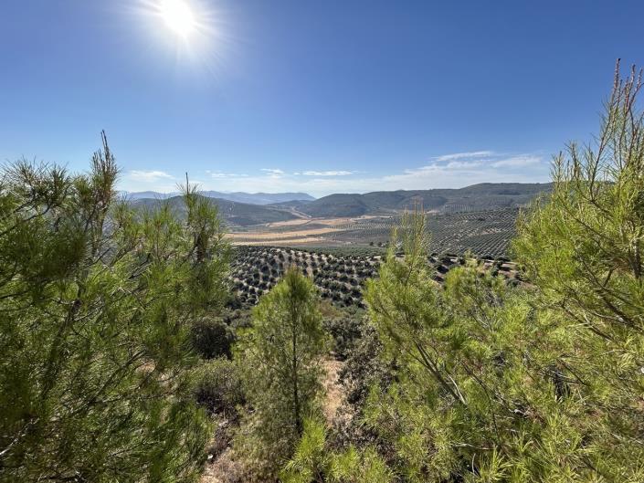 Image No.55-3 Bed Cortijo for sale