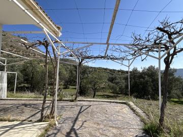 DJI_20250219_122853_573-Large