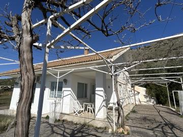 DJI_20250219_122720_198-Large