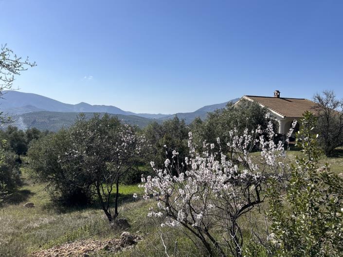 Image No.19-Cortijo de 2 chambres à vendre à Priego de Córdoba
