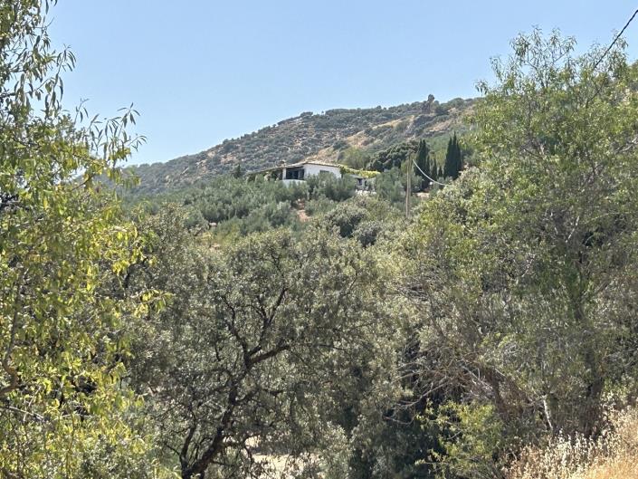 Image No.20-Maison de campagne de 2 chambres à vendre à Ermita Nueva