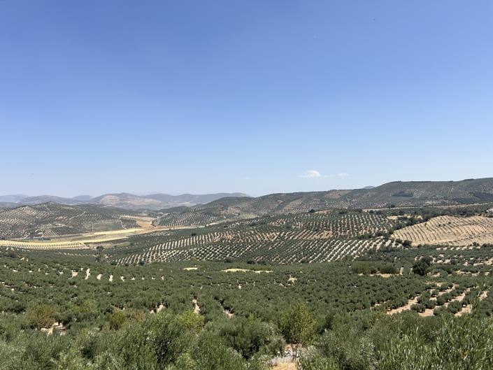 Image No.38-Maison de campagne de 2 chambres à vendre à Ermita Nueva