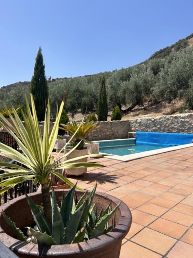 Image No.44-Maison de campagne de 2 chambres à vendre à Ermita Nueva