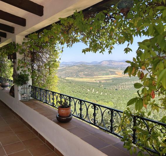 Image No.45-Maison de campagne de 2 chambres à vendre à Ermita Nueva