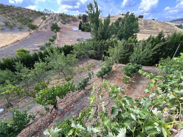 Image No.37-Cortijo de 7 chambres à vendre à Mures