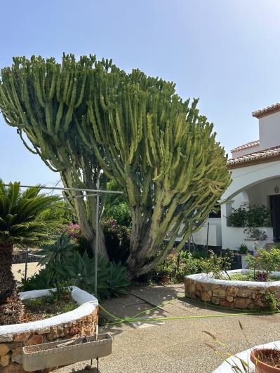 Image No.50-5 Bed Villa / Detached for sale