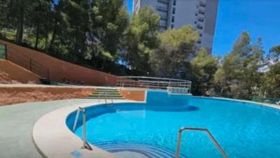 Imagen-de-WhatsApp-2025-06-12-a-las-18-05-18_3a0aa1a5