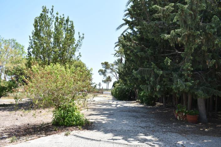 Image No.4-Maison de campagne de 4 chambres à vendre à Elche