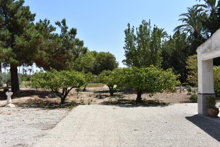 Image No.21-Maison de campagne de 4 chambres à vendre à Elche