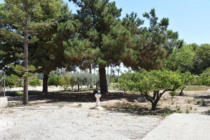 Image No.22-Maison de campagne de 4 chambres à vendre à Elche