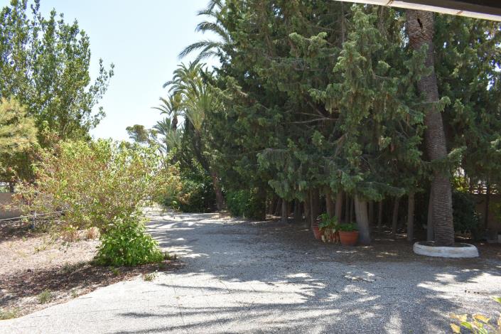 Image No.23-Maison de campagne de 4 chambres à vendre à Elche