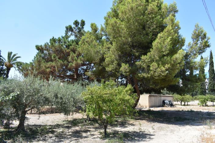 Image No.27-Maison de campagne de 4 chambres à vendre à Elche