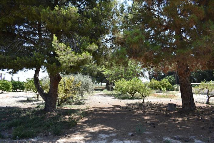 Image No.29-Maison de campagne de 4 chambres à vendre à Elche