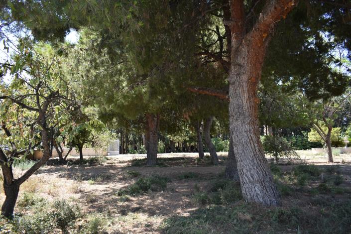 Image No.33-Maison de campagne de 4 chambres à vendre à Elche