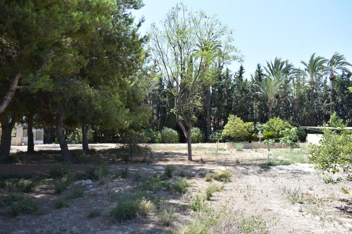Image No.36-Maison de campagne de 4 chambres à vendre à Elche