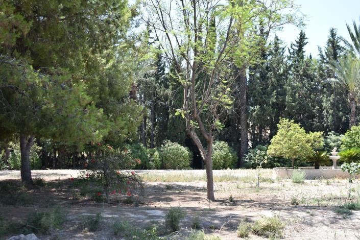 Image No.37-Maison de campagne de 4 chambres à vendre à Elche