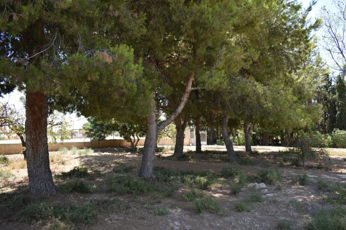 Image No.43-Maison de campagne de 4 chambres à vendre à Elche