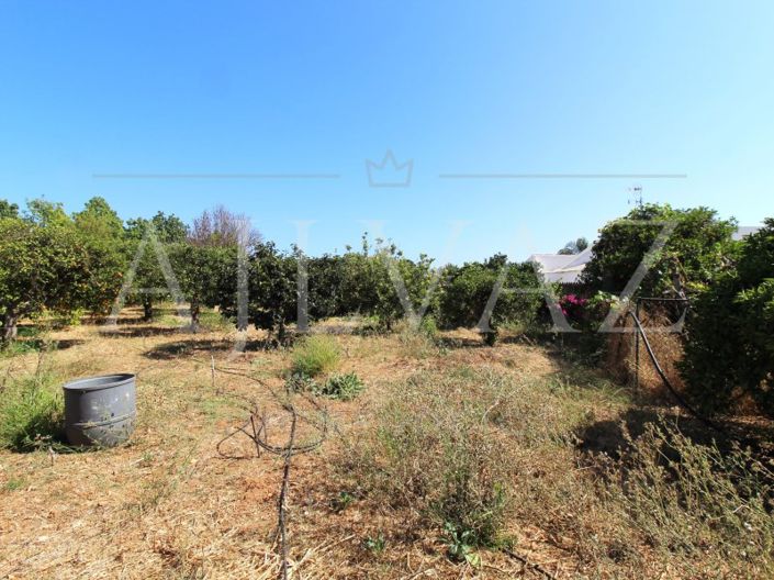 Image No.6-Maison de 5 chambres à vendre à Tavira