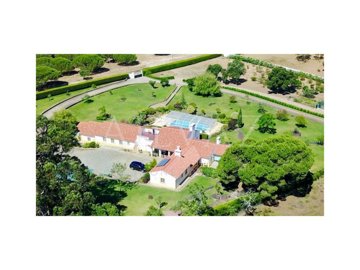 id8cd78101-0000-0500-0000-000013b86584