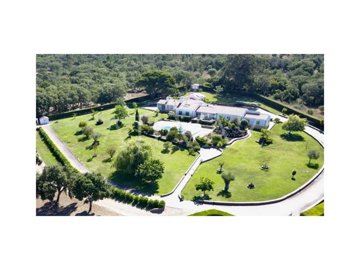 id8cd78101-0000-0500-0000-000013b86586