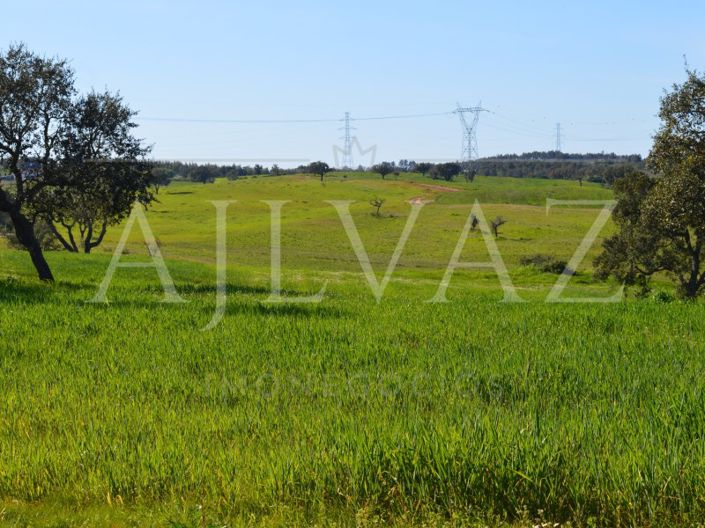 Image No.10-Plot for sale