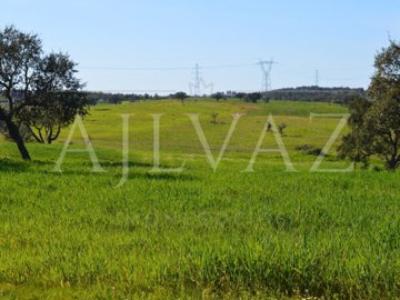 id06e13b01-0000-0500-0000-0000112fdb4e