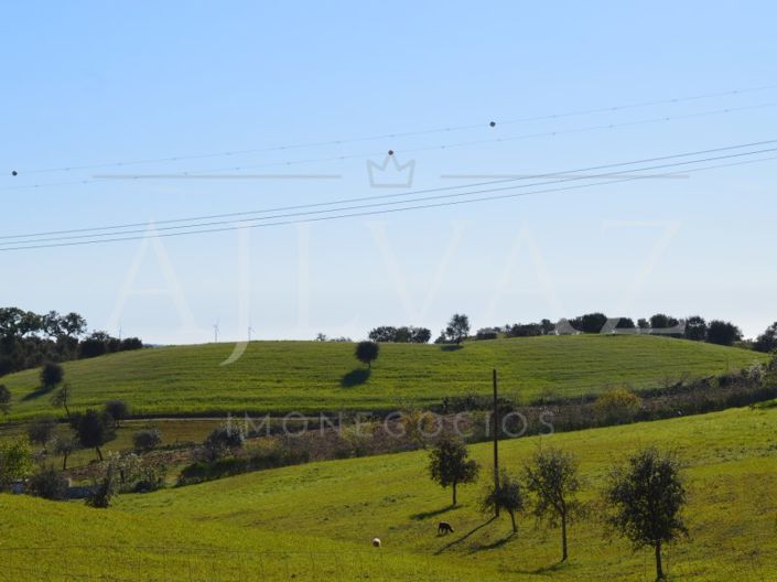 Image No.11-Plot for sale