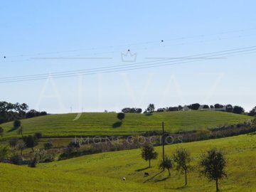 id06e13b01-0000-0500-0000-0000112fdb50