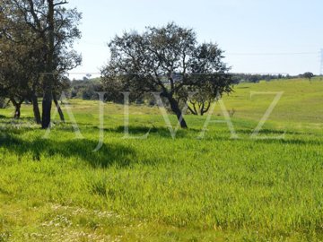 id06e13b01-0000-0500-0000-0000112fdb52