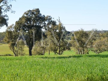 id06e13b01-0000-0500-0000-0000112fdb54