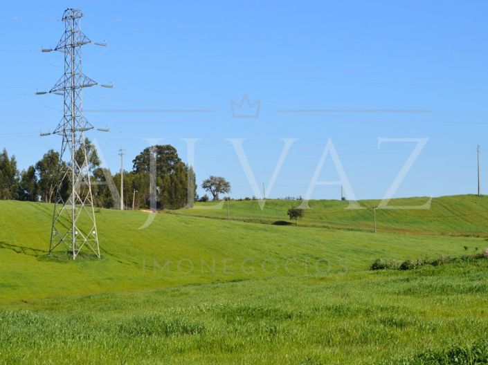 Image No.14-Plot for sale