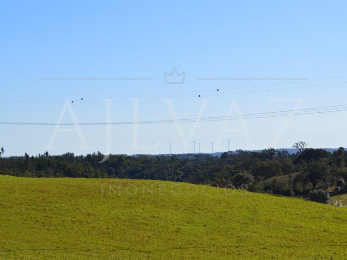 Image No.15-Plot for sale