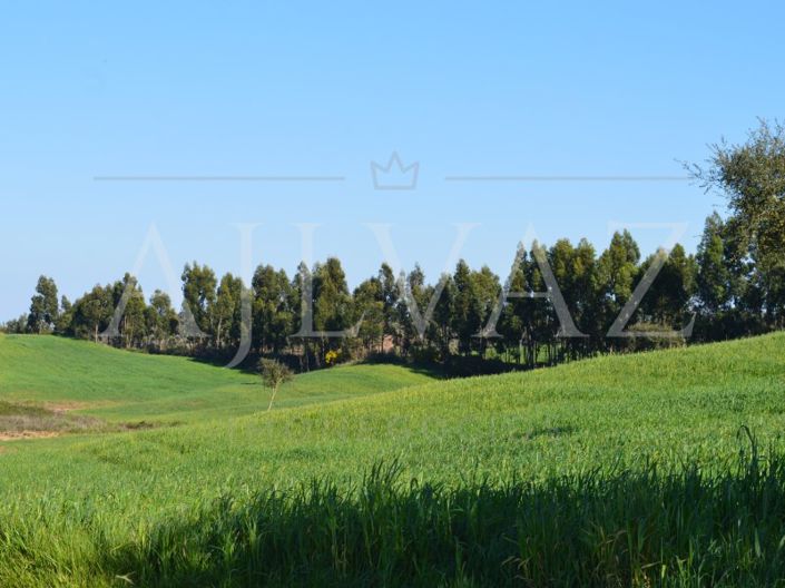 Image No.16-Plot for sale