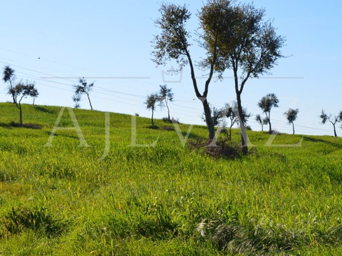 Image No.17-Plot for sale