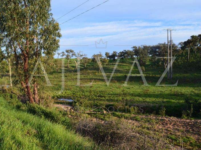 Image No.2-Plot for sale