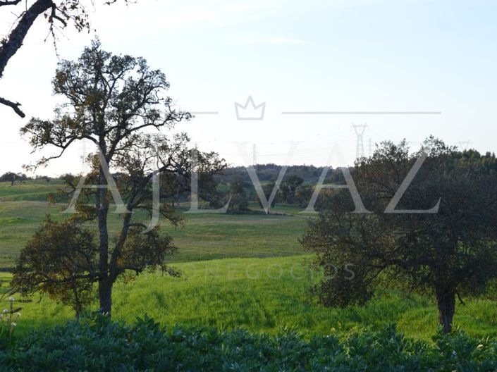 Image No.25-Plot for sale