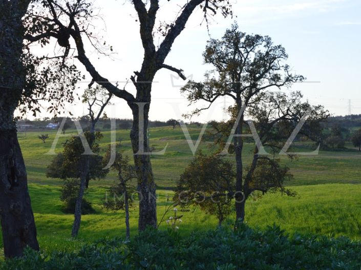 Image No.26-Plot for sale