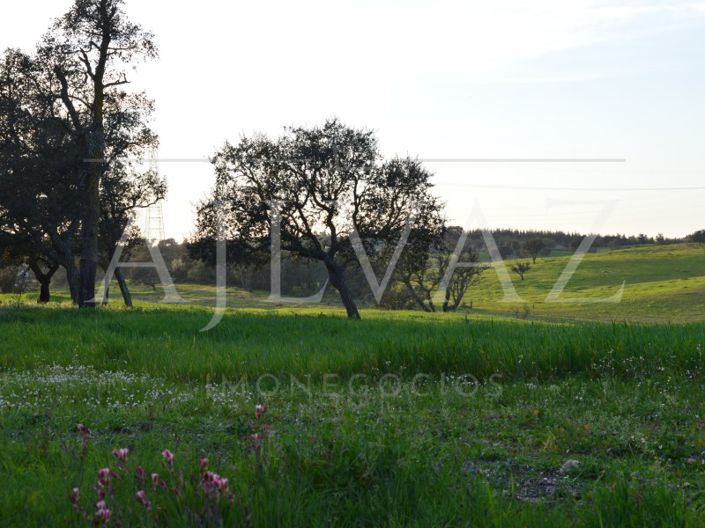 Image No.29-Plot for sale