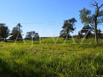 id06e13b01-0000-0500-0000-00000de49216