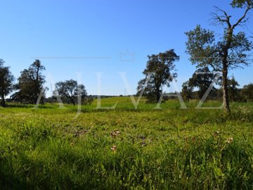 id06e13b01-0000-0500-0000-0000112fdb4b