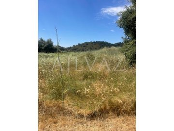 id91039d01-0000-0500-0000-000015f49ccb