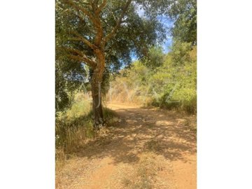 id91039d01-0000-0500-0000-000015f49ccd