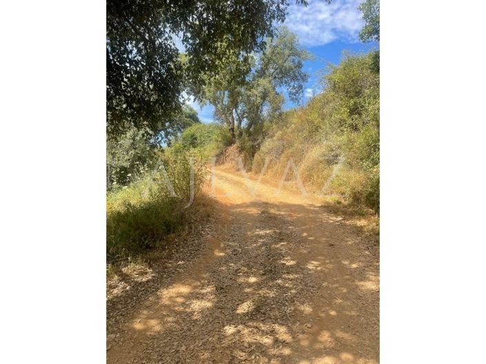 Image No.13-Ferme à vendre à Ourique