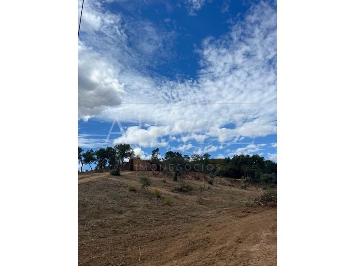 Image No.2-Ferme à vendre à Ourique